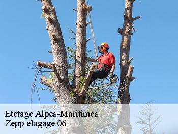 Etetage 06 Alpes-Maritimes  Zepp elagage 06