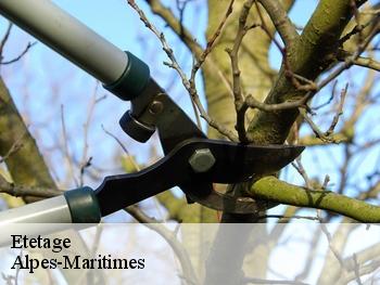 Etetage Alpes-Maritimes