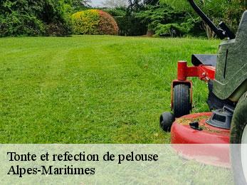 Tonte et refection de pelouse Alpes-Maritimes