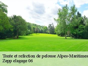 Tonte et refection de pelouse 06 Alpes-Maritimes Zepp elagage 06