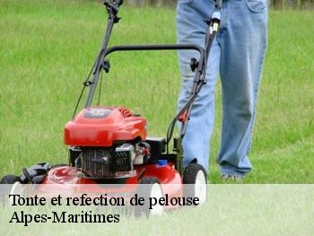 Tonte et refection de pelouse Alpes-Maritimes