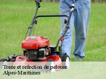 Tonte et refection de pelouse Alpes-Maritimes 