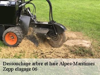 Dessouchage arbre et haie 06 Alpes-Maritimes  Zepp elagage 06