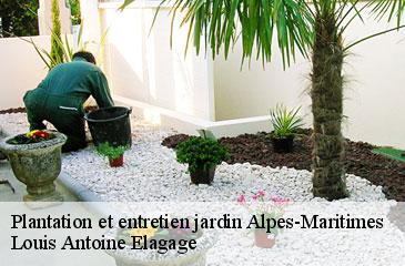 Plantation et entretien jardin 06 Alpes-Maritimes  Louis Antoine Elagage