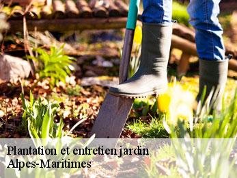 Plantation et entretien jardin Alpes-Maritimes 