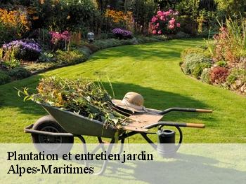 Plantation et entretien jardin Alpes-Maritimes 