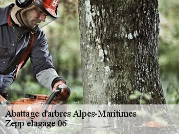 Abattage d'arbres 06 Alpes-Maritimes  Zepp elagage 06