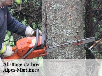 Abattage d'arbres Alpes-Maritimes 