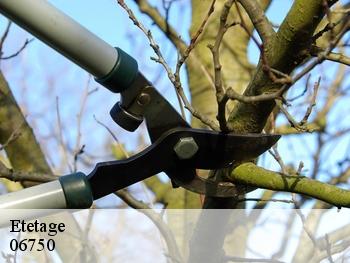 Etetage 06750