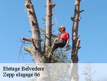 Etetage  belvedere-06450 Zepp elagage 06