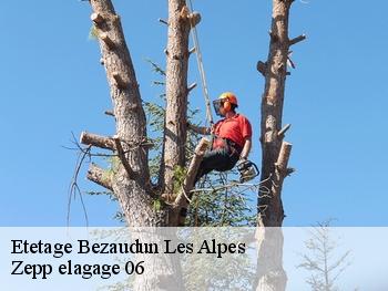 Etetage  bezaudun-les-alpes-06510 Zepp elagage 06