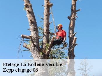 Etetage  la-bollene-vesubie-06450 Zepp elagage 06
