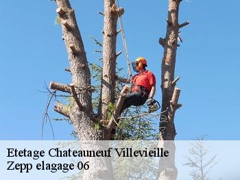 Etetage  chateauneuf-villevieille-06390 Zepp elagage 06