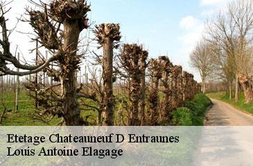 Etetage chateauneuf-d-entraunes-06470 Louis Antoine Elagage
