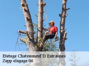Etetage  chateauneuf-d-entraunes-06470 Zepp elagage 06