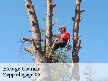 Etetage  coaraze-06390 Zepp elagage 06