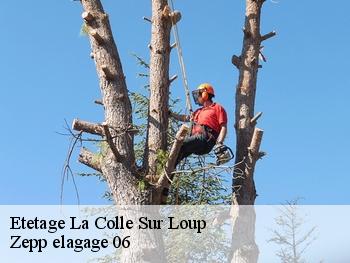 Etetage  la-colle-sur-loup-06480 Zepp elagage 06