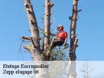 Etetage  escragnolles-06460 Zepp elagage 06