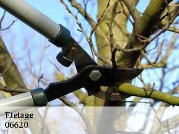 Etetage 06620