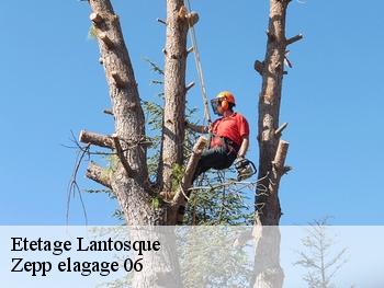 Etetage  lantosque-06450 Zepp elagage 06