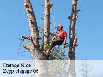 Etetage  nice-06000 Zepp elagage 06