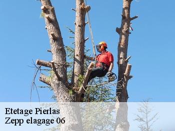 Etetage  pierlas-06260 Zepp elagage 06