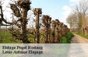 Etetage puget-rostang-06260 Louis Antoine Elagage