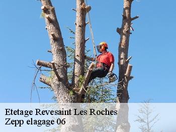 Etetage  revesaint-les-roches-06830 Zepp elagage 06