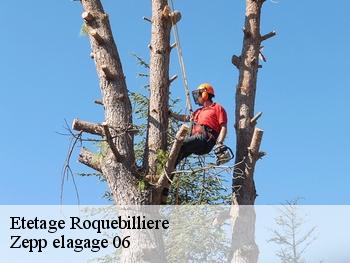 Etetage  roquebilliere-06450 Zepp elagage 06