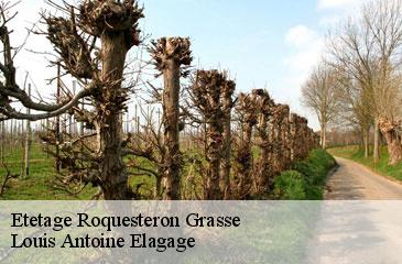 Etetage  roquesteron-grasse-06910 Louis Antoine Elagage