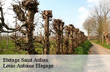 Etetage  saint-auban-06850 Louis Antoine Elagage