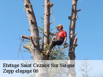 Etetage  saint-cezaire-sur-siagne-06780 Zepp elagage 06