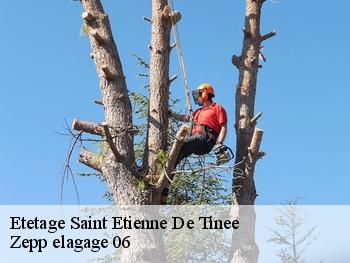 Etetage  saint-etienne-de-tinee-06660 Zepp elagage 06