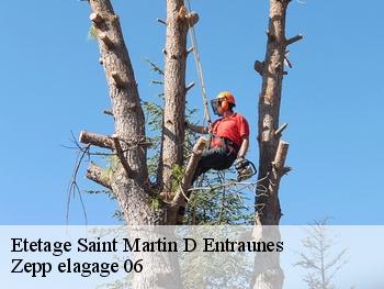 Etetage  saint-martin-d-entraunes-06470 Zepp elagage 06