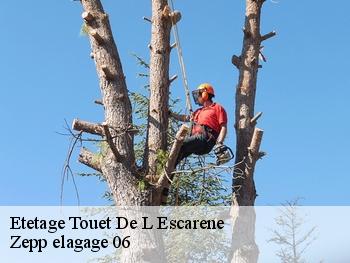 Etetage  touet-de-l-escarene-06440 Zepp elagage 06