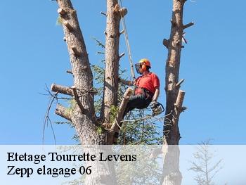 Etetage  tourrette-levens-06690 Zepp elagage 06