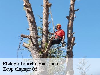 Etetage  tourette-sur-loup-06140 Zepp elagage 06