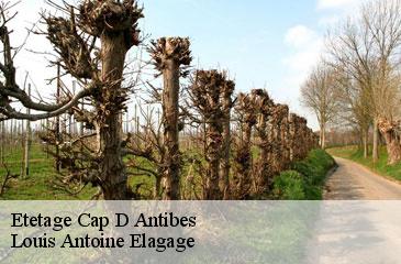 Etetage  cap-d-antibes-06160 Louis Antoine Elagage