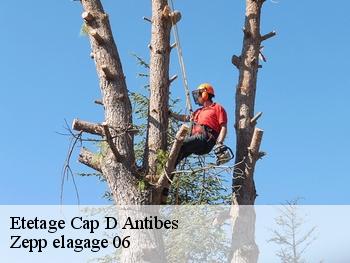 Etetage  cap-d-antibes-06160 Zepp elagage 06