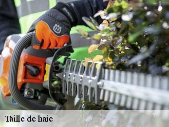 Taille de haie