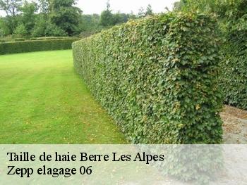 Taille de haie  berre-les-alpes-06390 Zepp elagage 06