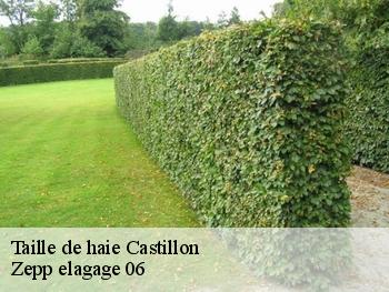 Taille de haie castillon-06500 Zepp elagage 06