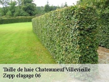 Taille de haie  chateauneuf-villevieille-06390 Zepp elagage 06