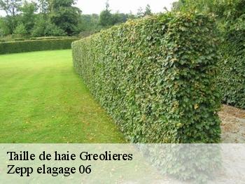 Taille de haie  greolieres-06620 Zepp elagage 06