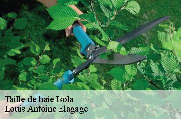 Taille de haie  isola-06420 Louis Antoine Elagage