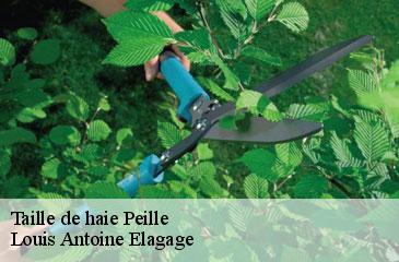 Taille de haie  peille-06440 Louis Antoine Elagage