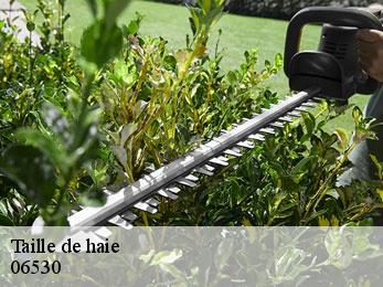 Taille de haie  06530