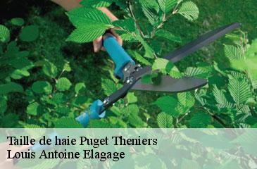 Taille de haie  puget-theniers-06260 Louis Antoine Elagage