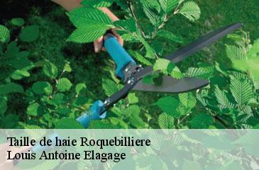 Taille de haie  roquebilliere-06450 Louis Antoine Elagage