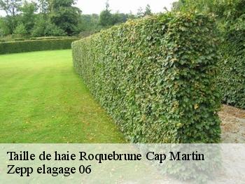 Taille de haie  roquebrune-cap-martin-06190 Zepp elagage 06